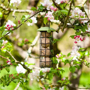 Twist Top Suet Feeder 20cm